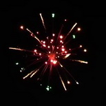 golden palm with color flower with red strobe pistil